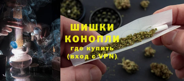 шишки Заволжье