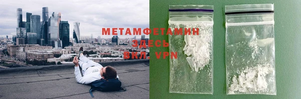 шишки Заволжье
