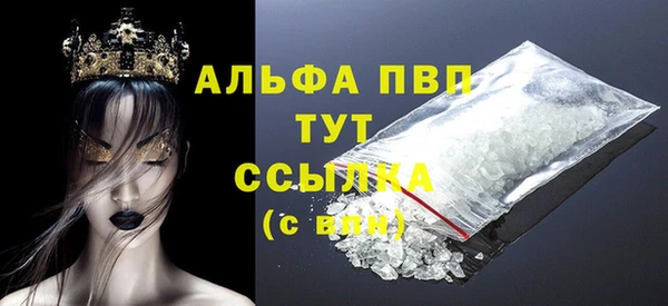 шишки Заволжье