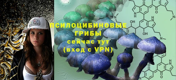 шишки Заволжье