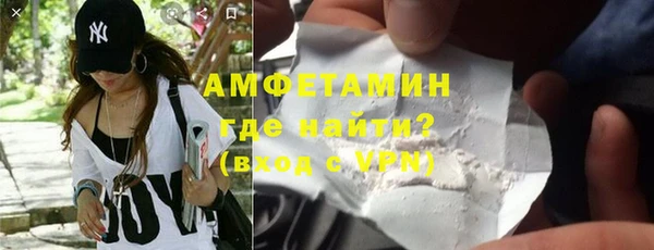 шишки Заволжье