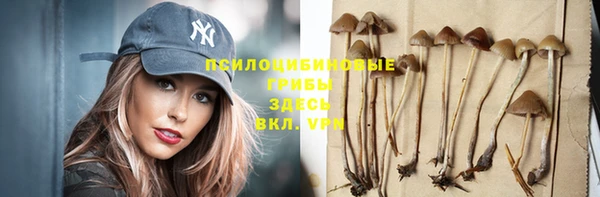 шишки Заволжье