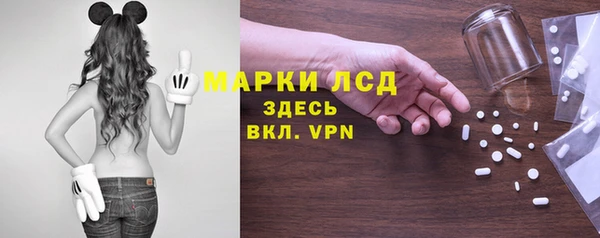 шишки Заволжье