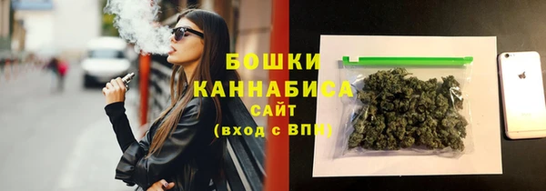 твердый Заводоуковск