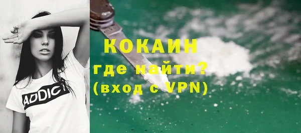 шишки Заволжье