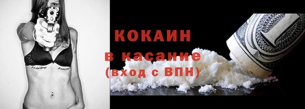 твердый Заводоуковск