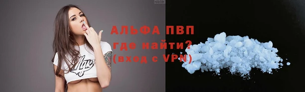 твердый Заводоуковск