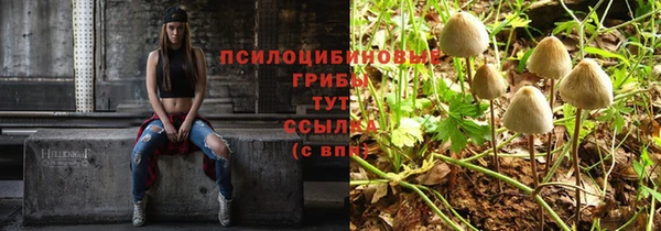 твердый Заводоуковск