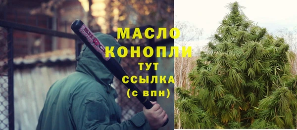 шишки Заволжье