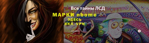 шишки Заволжье