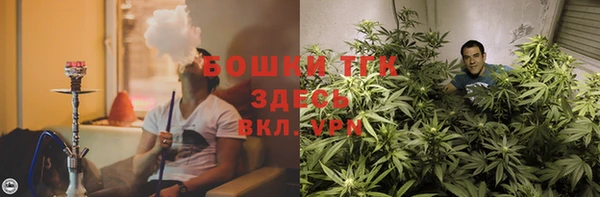 шишки Заволжье