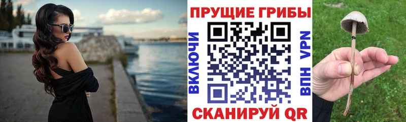 Псилоцибиновые грибы GOLDEN TEACHER  Купить  Калач 